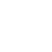Dedicated Support